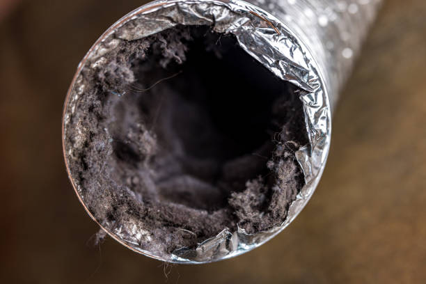Best Professional Duct Cleaning Services  in Hoopers Creek, NC